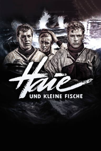 Sharks and Little Fish