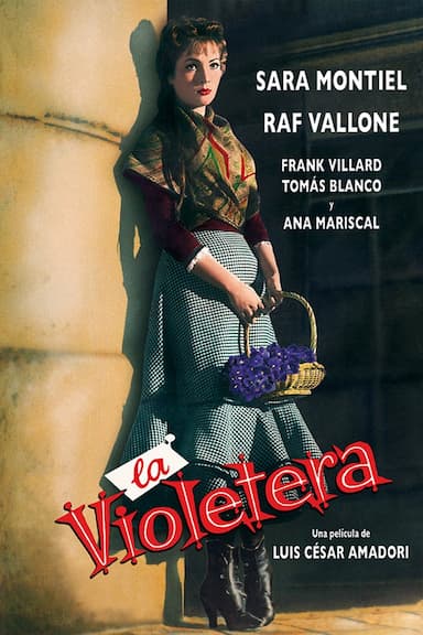 La violetera