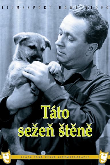 Táto, sezen stene
