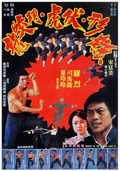 Secret of the Chinese Kung Fu