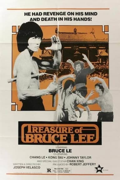 Treasure of Bruce Lee
