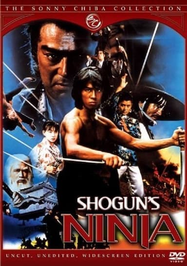 Ninja Warriors