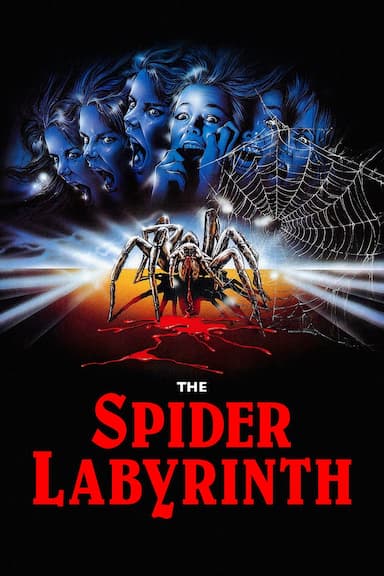 The Spider Labyrinth