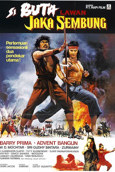 The Warrior and the Blind Swordsman