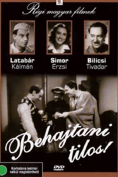 Behajtani tilos!