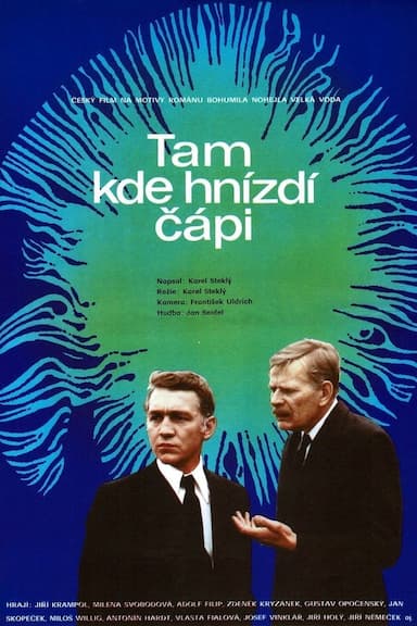 Tam, kde hnizdi cápi