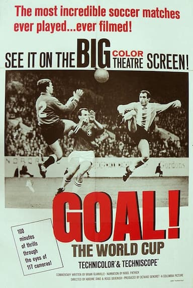 Goal! The World Cup