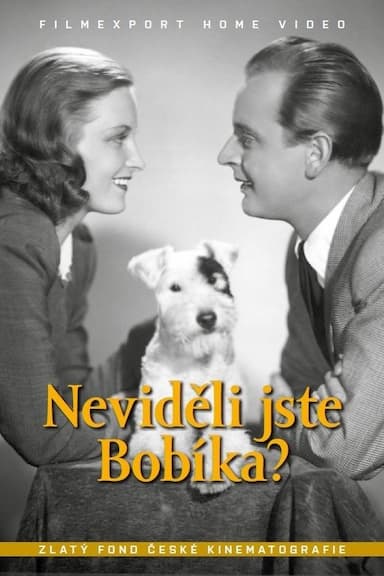 Nevideli jste Bobíka?