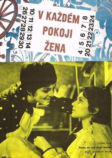 V kazdém pokoji zena