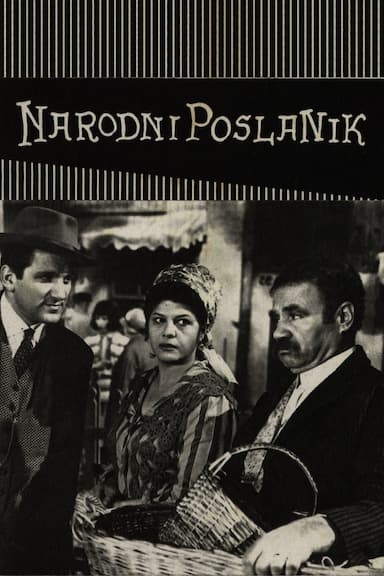Narodni poslanik