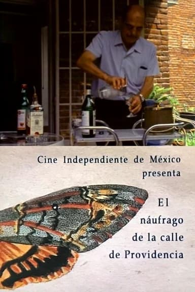 El náufrago de la calle Providencia