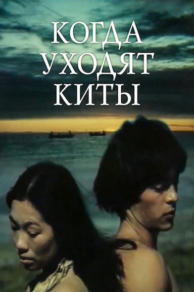 Kogda ukhodyat kity