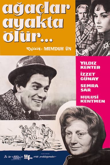 Agaçlar Ayakta Ölür