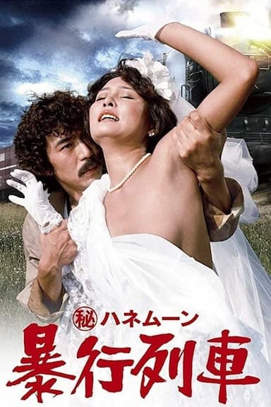 Secret Honeymoon: Rape Train
