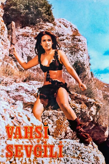 Vahsi Sevgili
