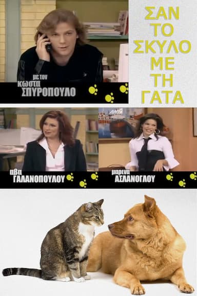 San to skylo me ti gata