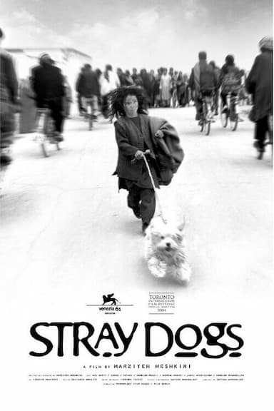 Stray Dogs