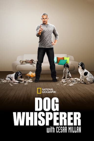 Dog Whisperer with Cesar Millan