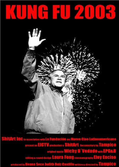 Kung fu 2003