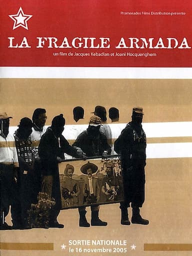 La fragile armada