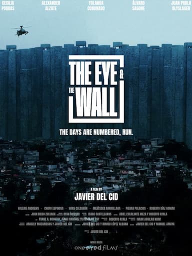 The Eye and the Wall