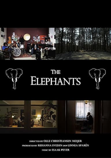 The Elephants