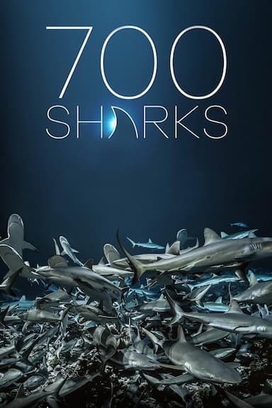 700 Sharks
