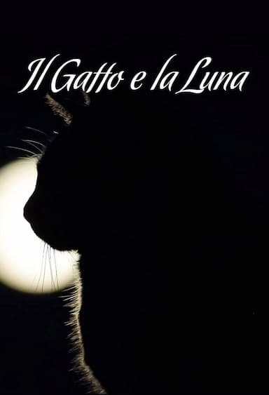 Il gatto e la luna