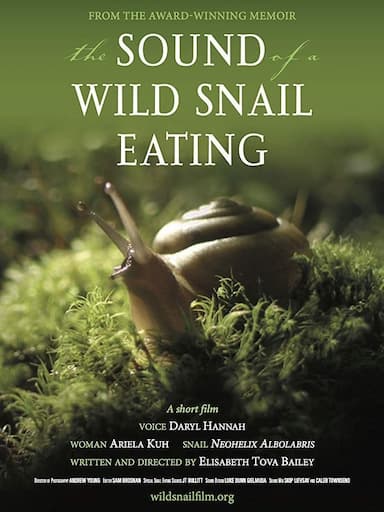 The Sound of a Wild Snail Eating