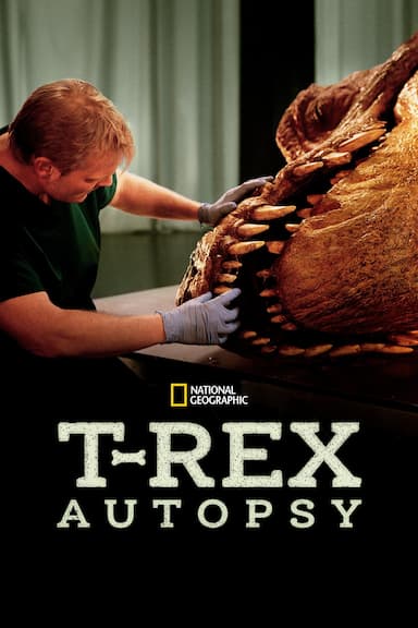 T. Rex Autopsy