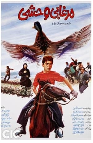 The Wild Duck