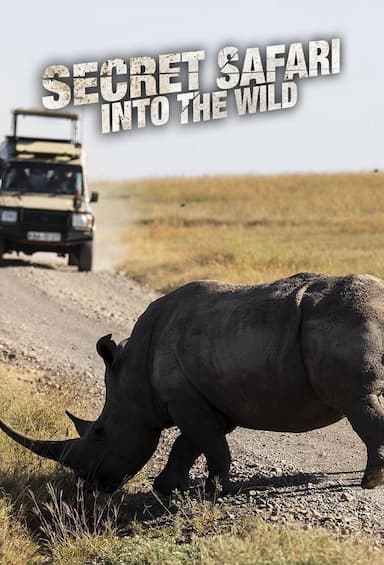 Secret Safari: Into the Wild