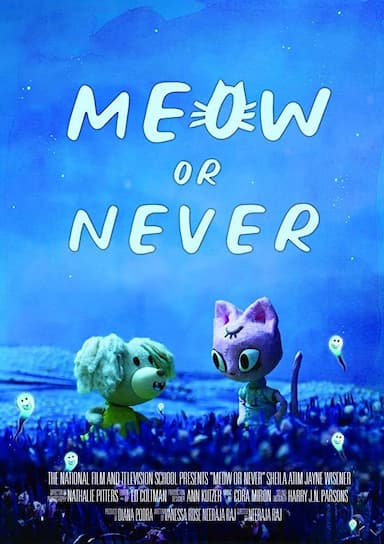 Meow or Never