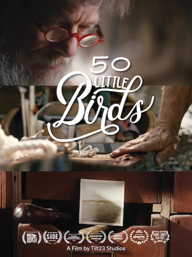 50 Little Birds