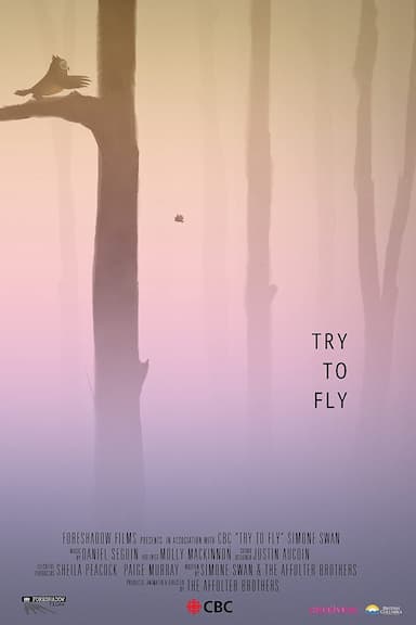 Try to Fly