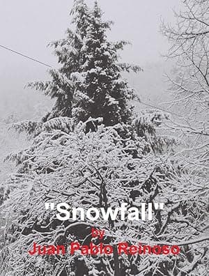Snowfall
