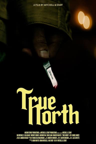 True North