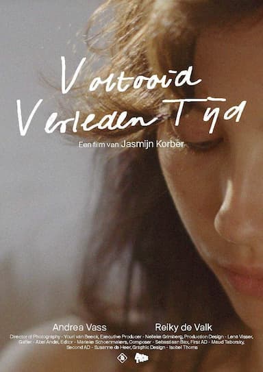 Voltooid Verleden Tijd