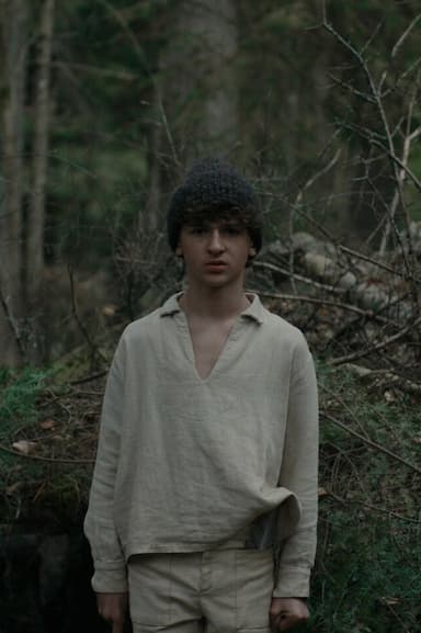 The Boy in the Woods