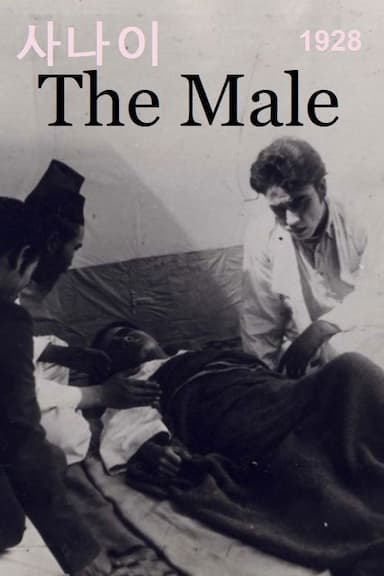 The Male