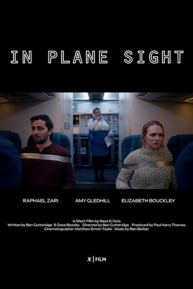 In Plane Sight