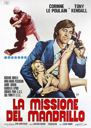 La missione del mandrillo