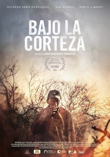 Bajo la corteza