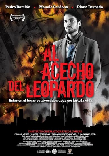 Al Acecho del Leopardo