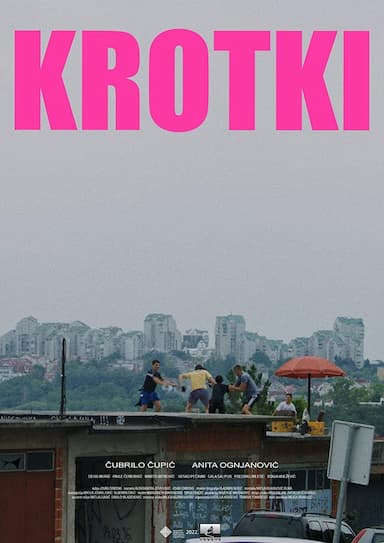 Krotki