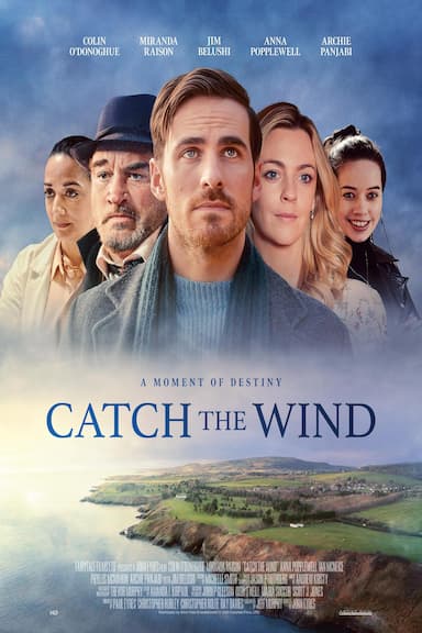 Catch the Wind