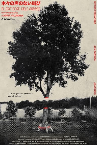 El crit sord dels arbres