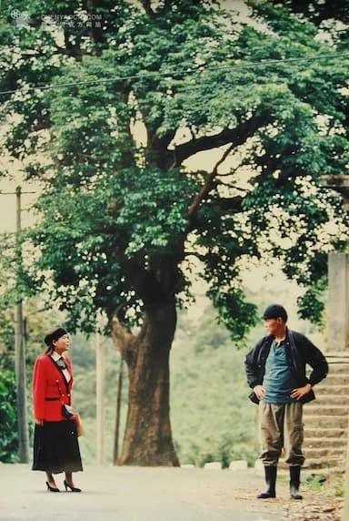 Wo de yi piao xuan zong tong