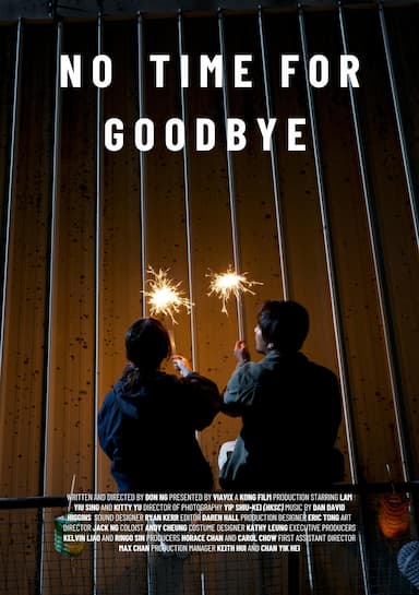 No Time for Goodbye