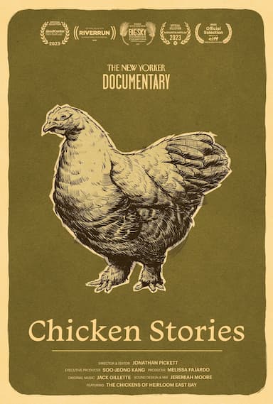 Chicken Stories